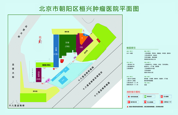 好爽啊啊舔我操我视频北京市朝阳区桓兴肿瘤医院平面图